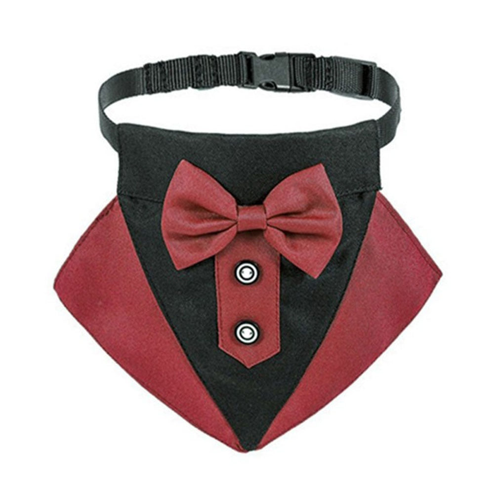 corbata perro elegante matrimonio formal rojo negro