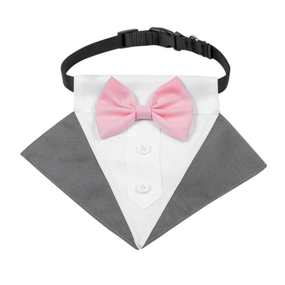 corbata perro elegante matrimonio formal gris rosa