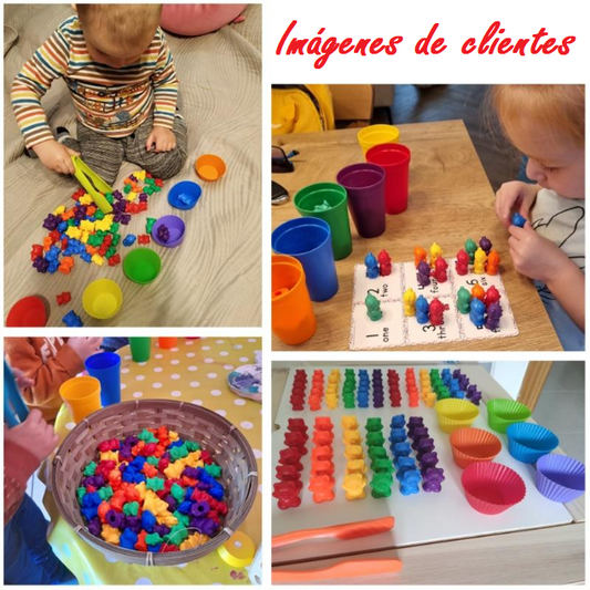 Set de osos montessori para niños