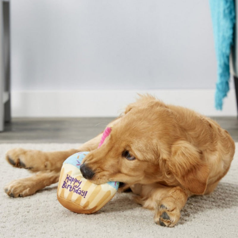 Peluches cumpleaños para perro