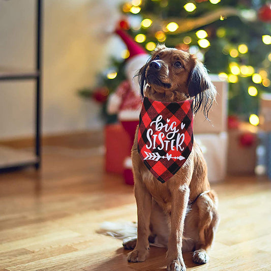 bandana mascota hermano mayor